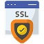 SSL security